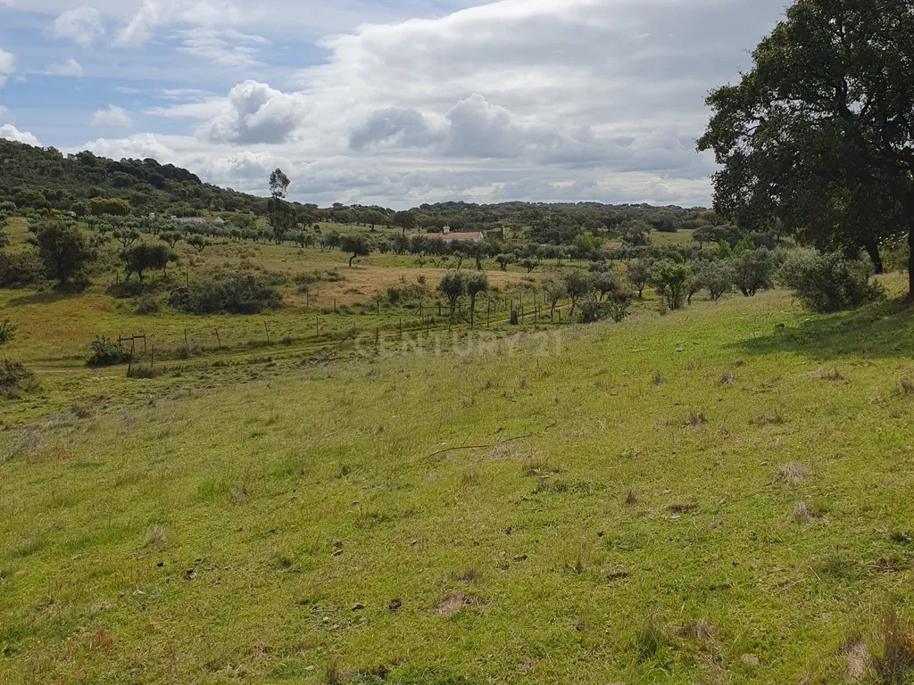 Terreno Urbano na Serra D`Ossa Redondo - Image 13