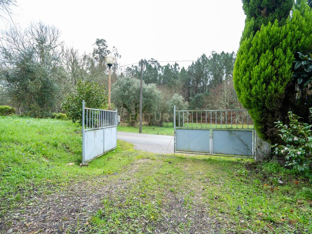 Quinta T5 em Poiares, Vila Nova de Poiares - Oportunidade Única - Image 3
