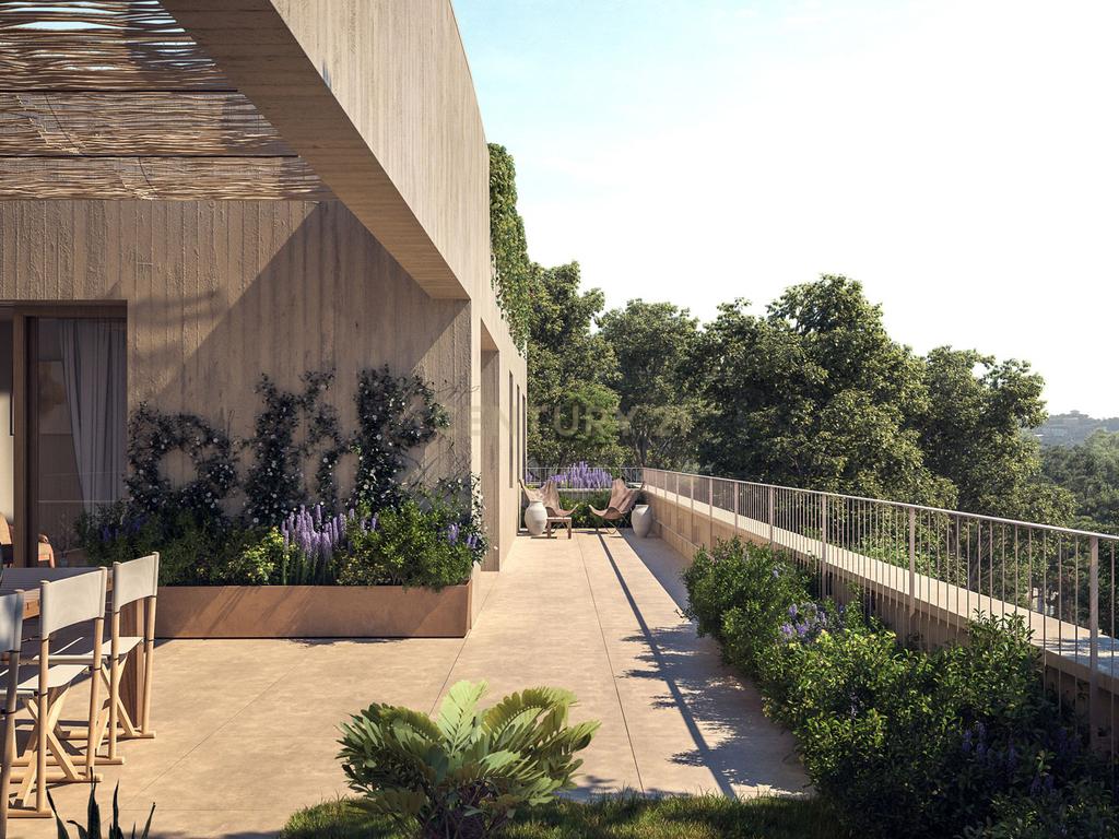  - Image 7