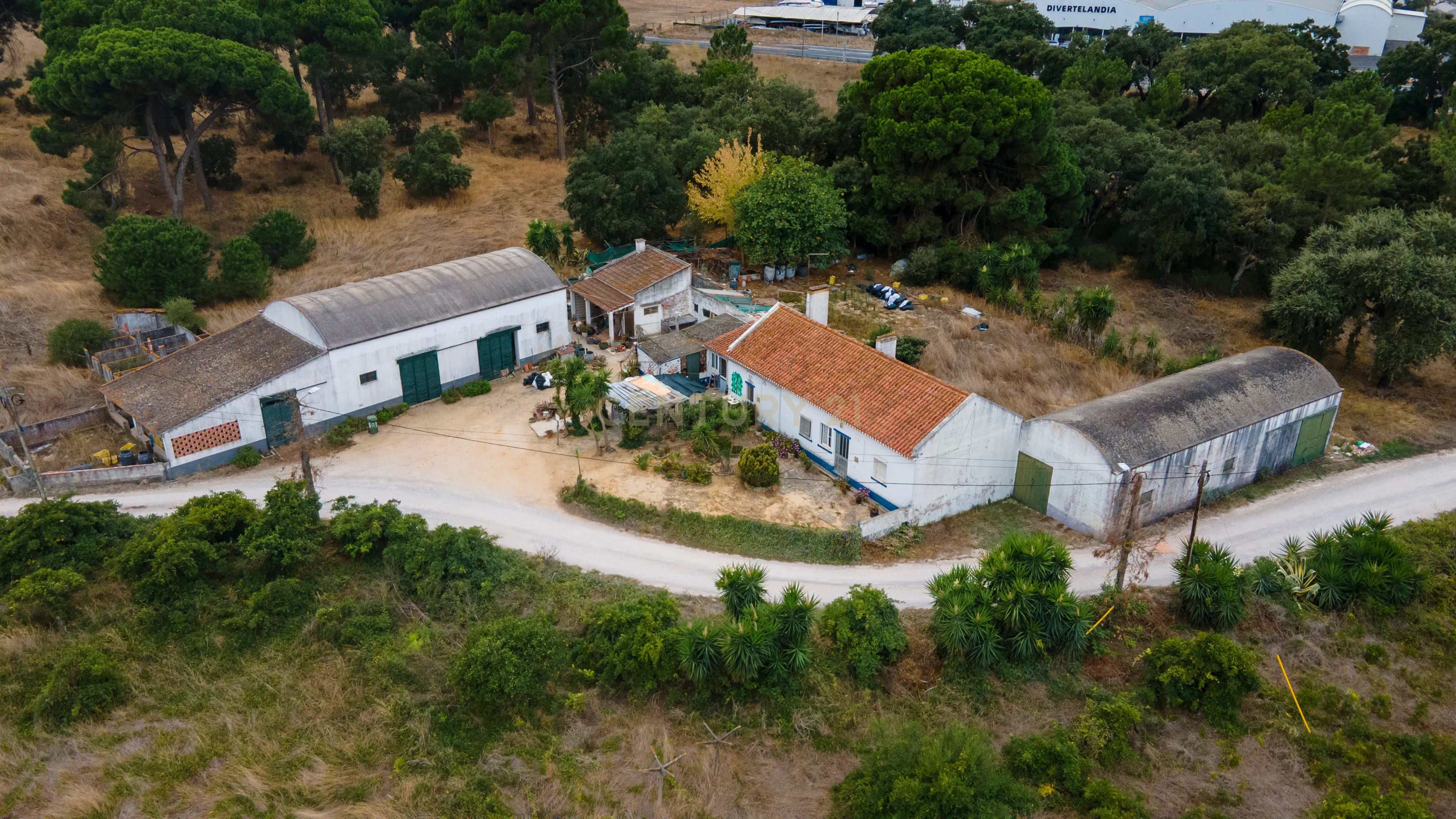 Fotografia 5 de Quinta dos Batudes - Palmela
