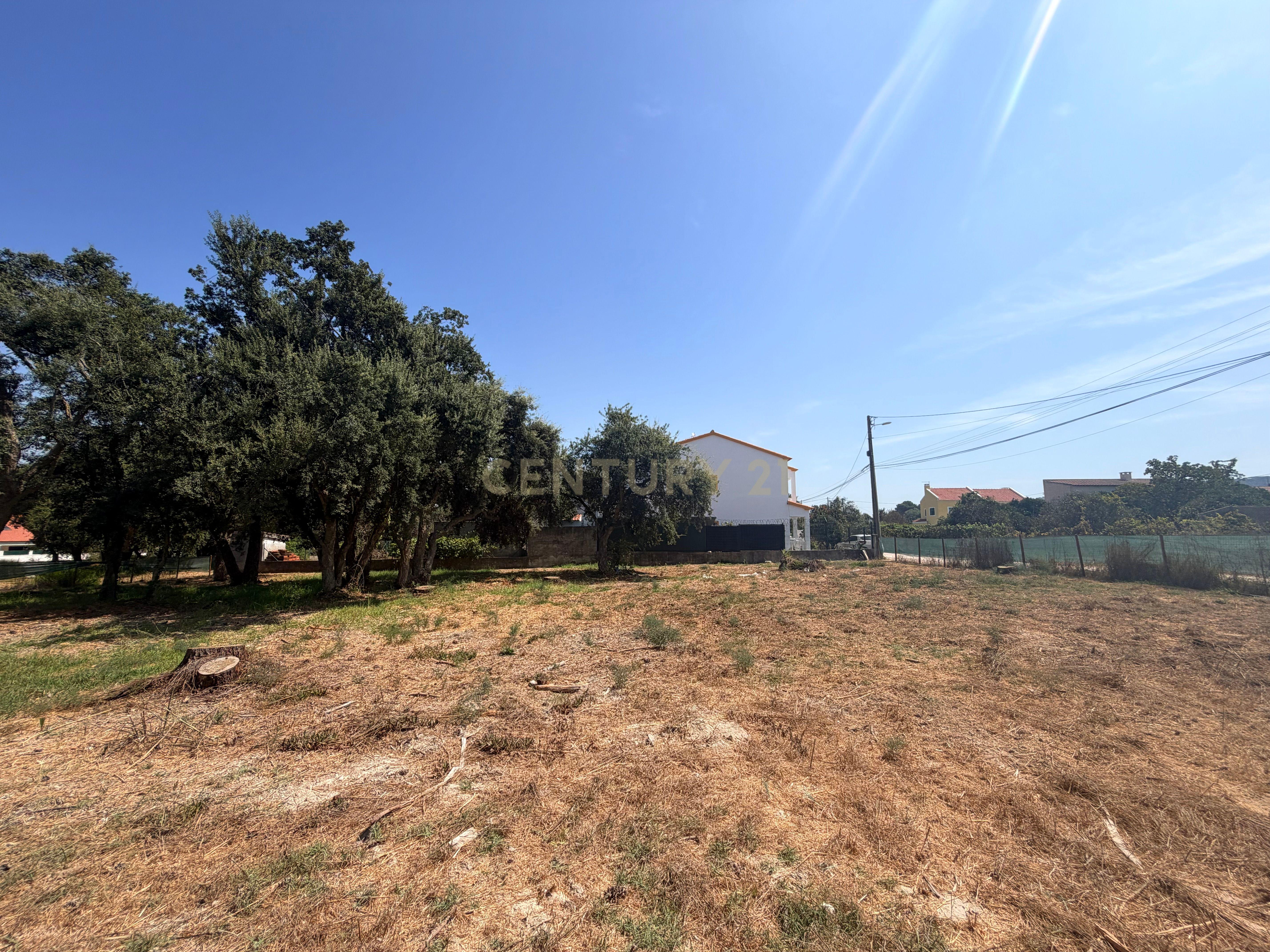 Fotografia 5 de Terreno com Excelente Potencial de Construção em São Simão – Brejos de Azeitão