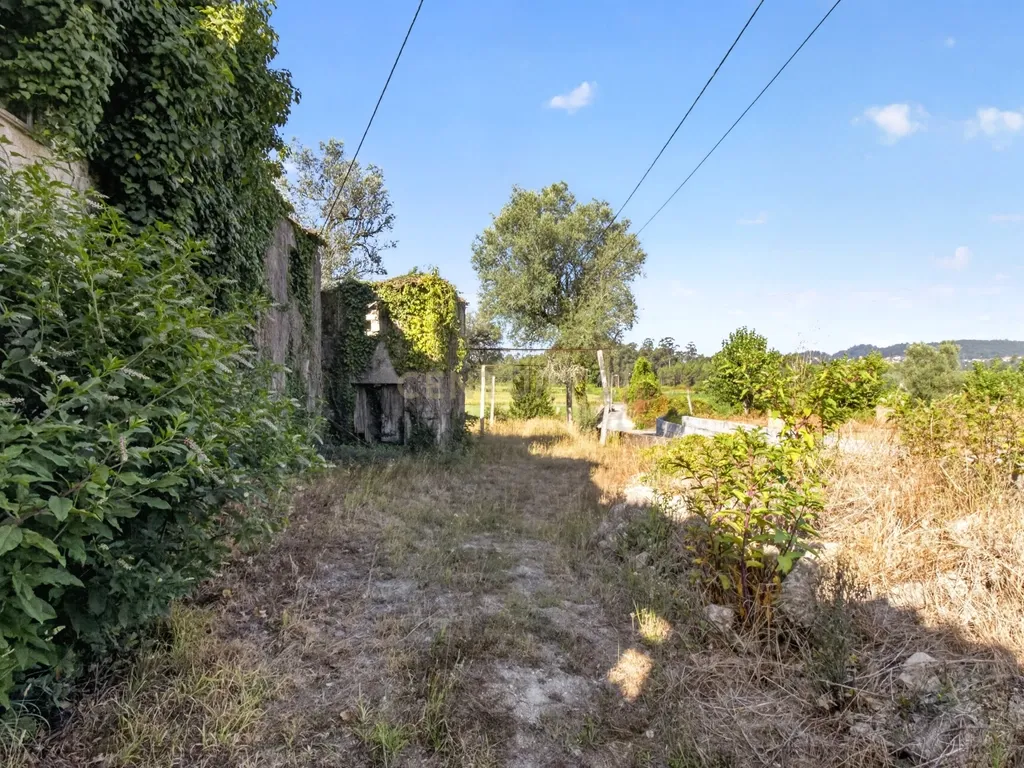 Quinta de Verim – 22.000 m² de história, natureza e potencial - Image 28