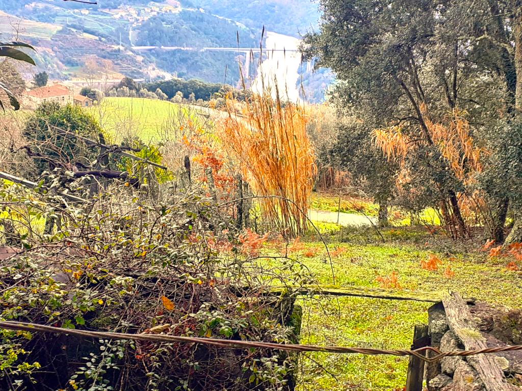 Belíssima ruína em terreno verdejante com vista deslumbrante para o Rio Douro, Baião, Porto - Image 15