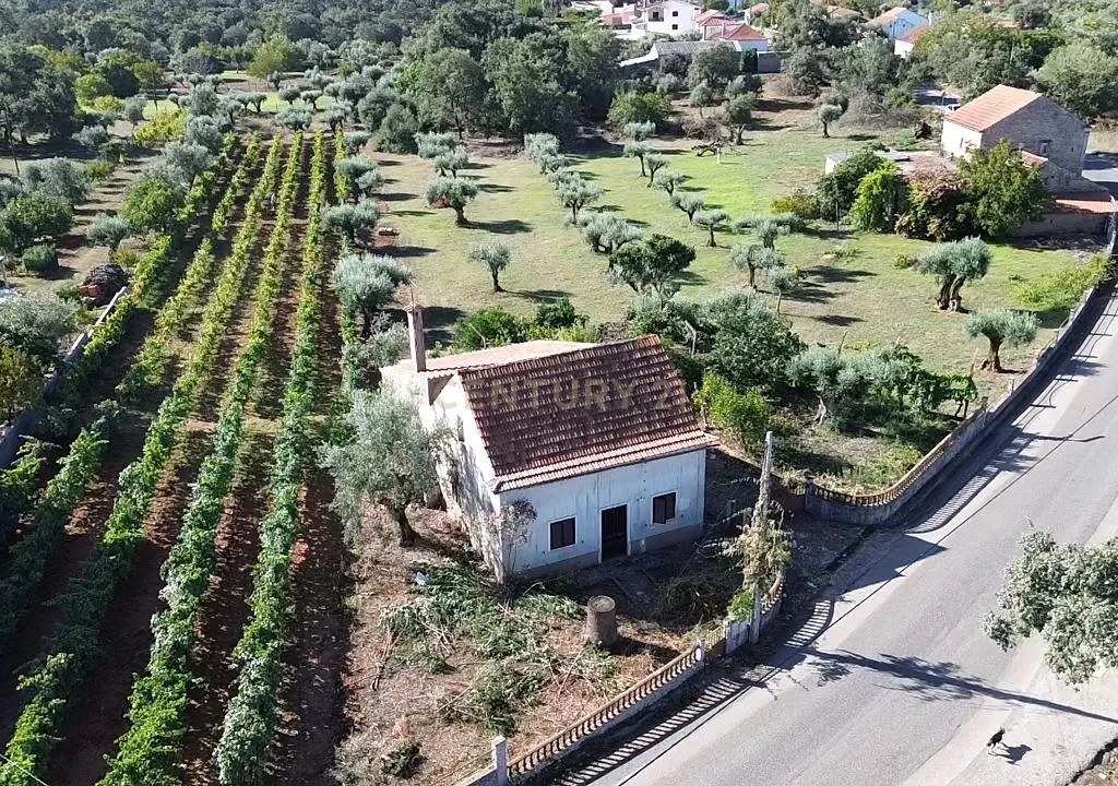 Duas moradias em Avecasta Ferreira do Zêzere - Image 38