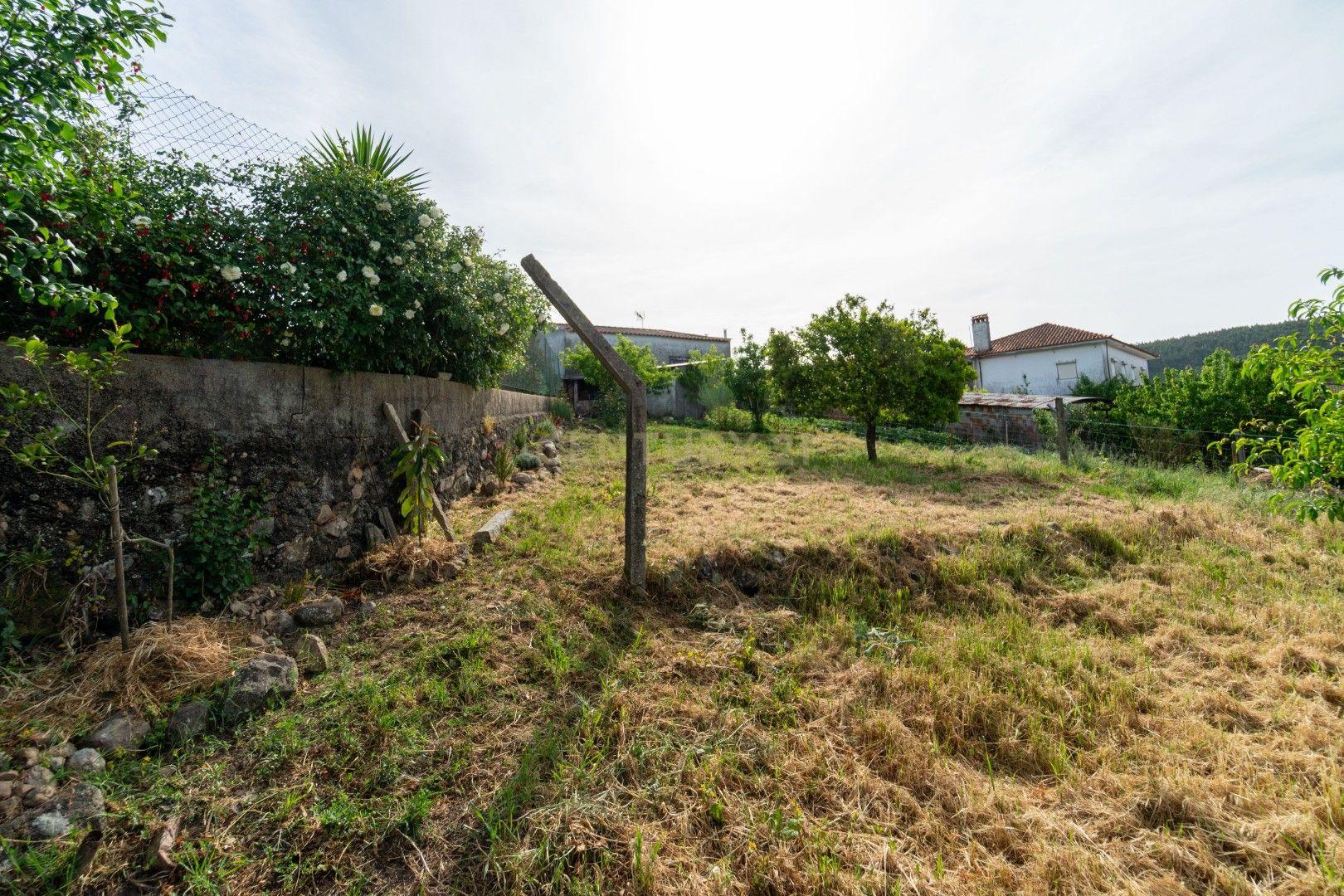 Fotografia 4 de Moradia p/reconstrução com terreno no Forcado – Vila Nova de Poiares
