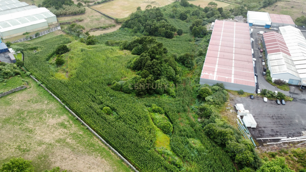 🏞️ Terreno com 26.800 m² nas Giestas – Ribeira Grande - Image 13