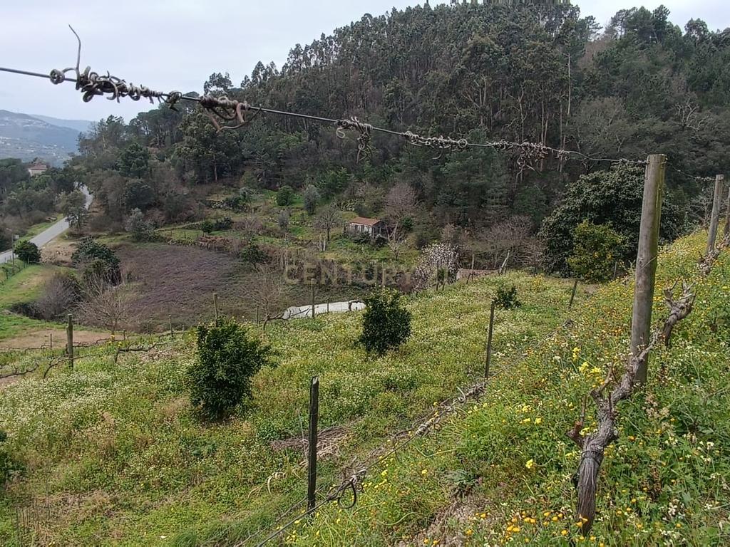 Casa com terreno de construção e agrícola perto do rio Douro em Granja, S. Tomé de Covelas, Baião, Porto - Image 36