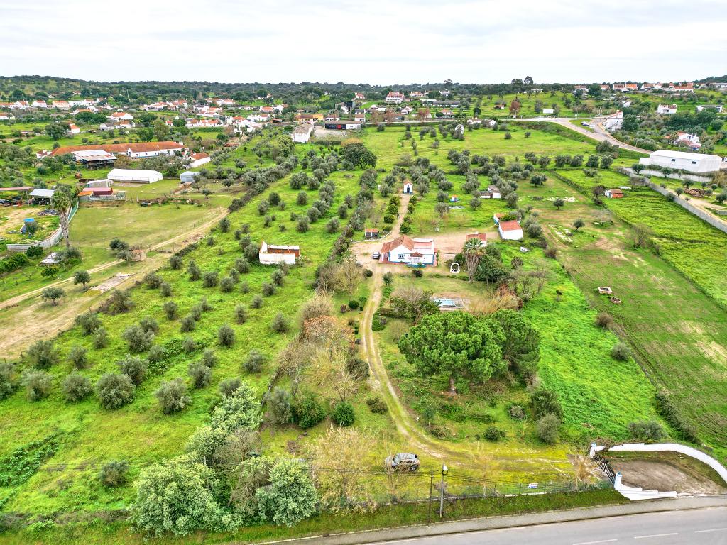 Exclusiva Herdade em Mora | Évora - Image 1