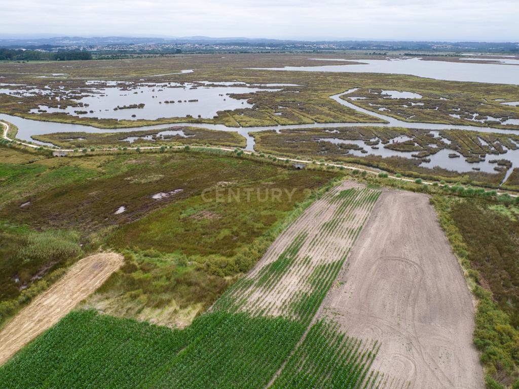Moradia  T2 - Totalmente Reconstruída 2023- Paineis Solares e fotovoltaicos + furo agua - Veiros-Murtosa-  Parque da Ria de Aveiro - Image 40