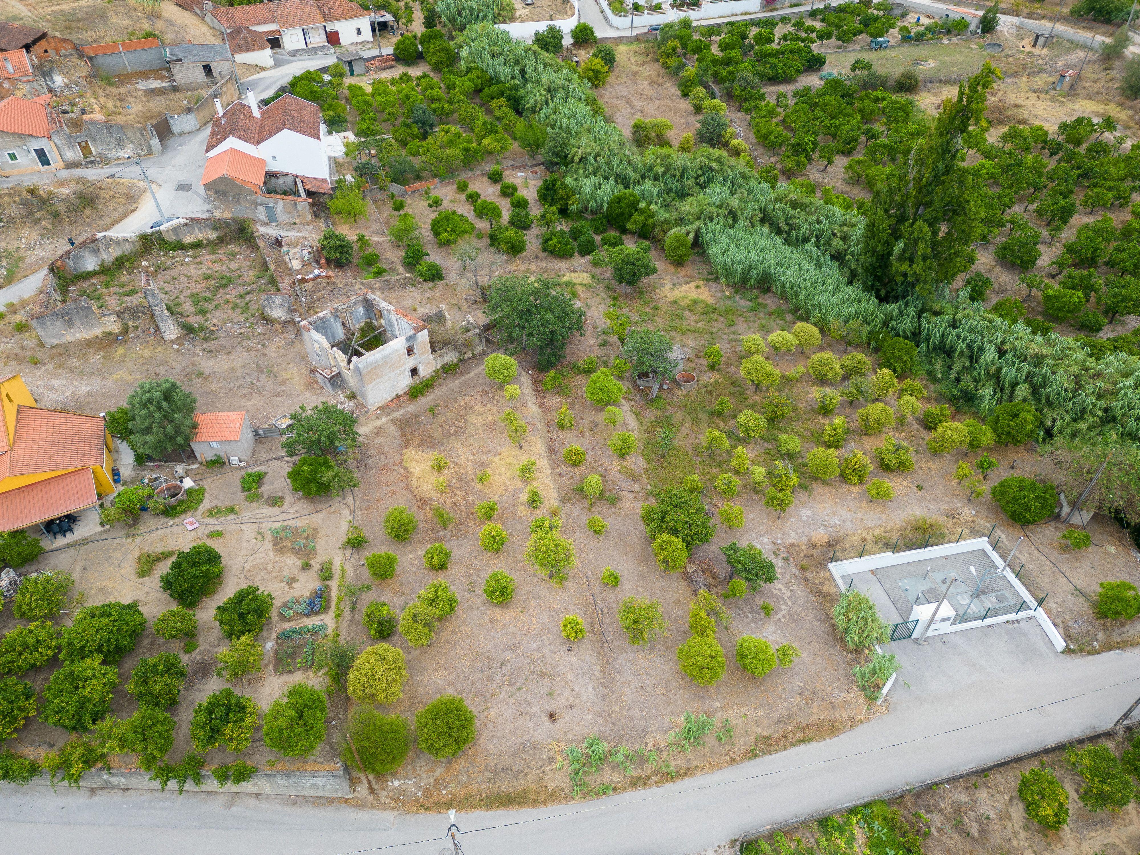 Moradia T2 Torres Novas - Chancelaria - Image 26