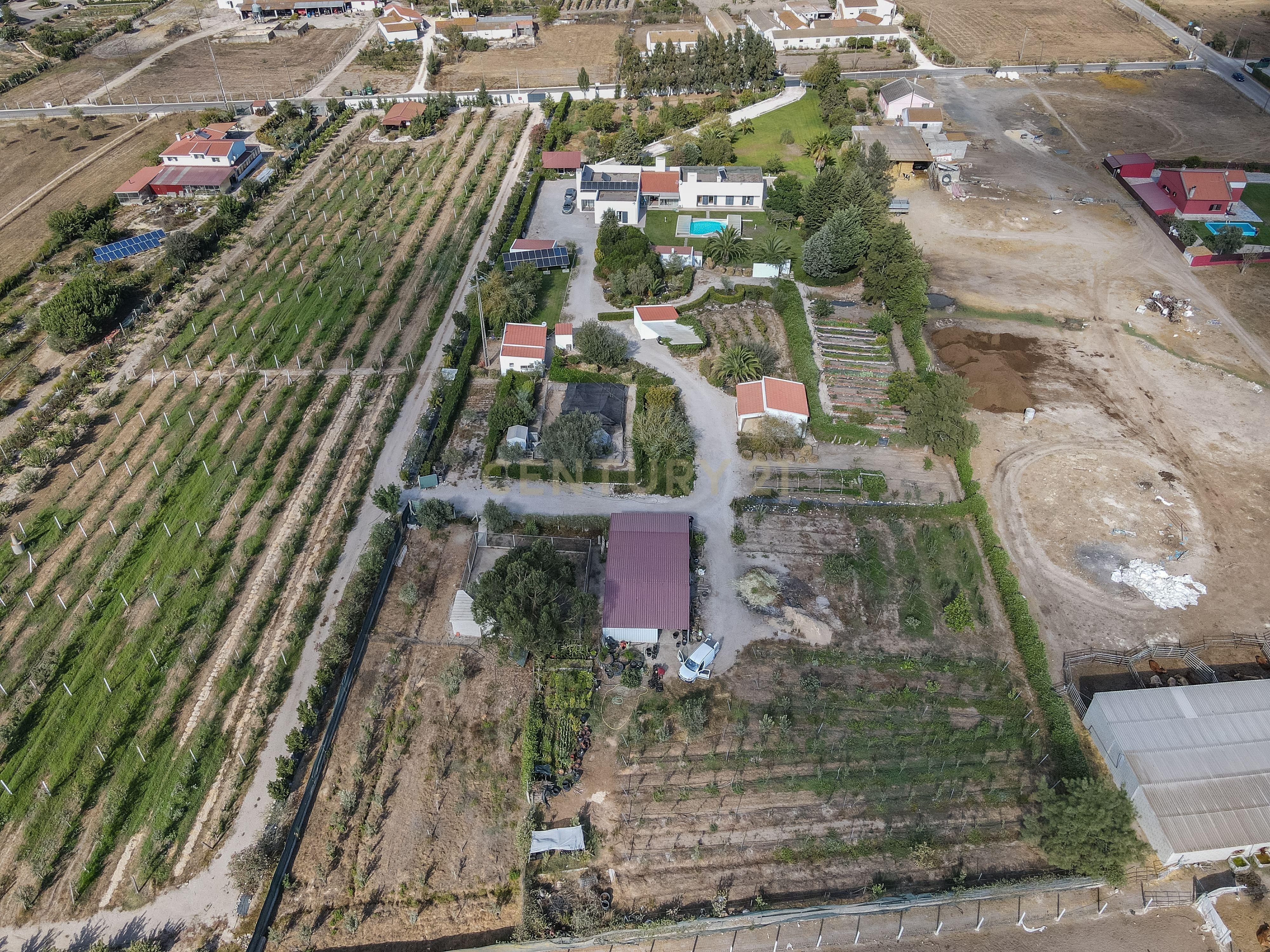 QUINTA DO POCEIRÃO - 2 MORADIAS - GARAGENS - PISCINA - ANEXOS - PALMELA - Image 76