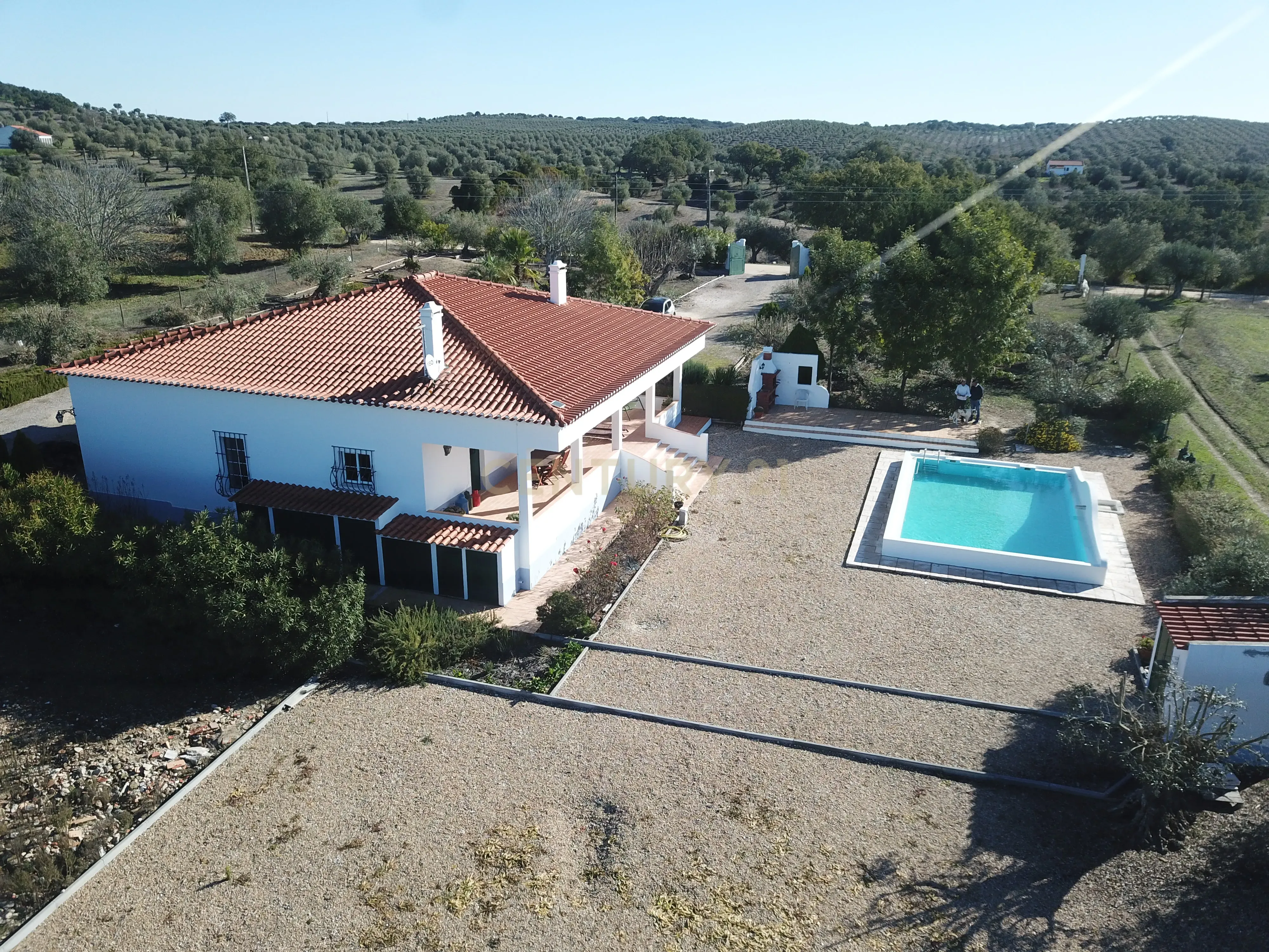 Excelente Quinta com Moradia T4 e piscina em Brotas, Mora- Évora - Image 27