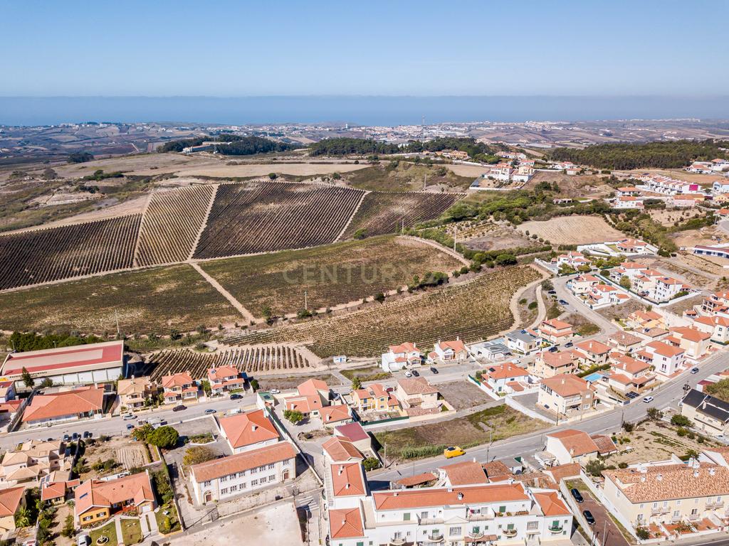 LOTE 481m2 C/ PROJECTO APROVADO PARA MORADIA ISOLADA UNIFAMILIAR COM PISCINA E JARDIM - Image 13