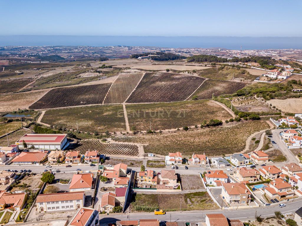 LOTE 481m2 C/ PROJECTO APROVADO PARA MORADIA ISOLADA UNIFAMILIAR COM PISCINA E JARDIM - Image 12