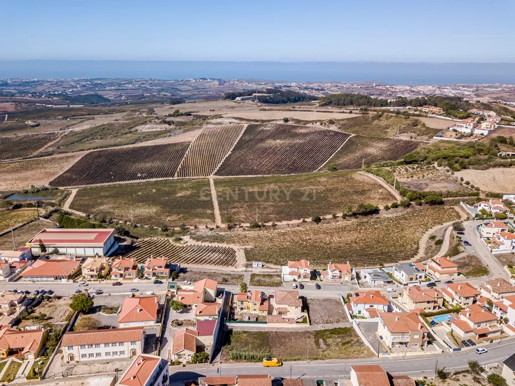 LOTE 481m2 C/ PROJECTO APROVADO PARA MORADIA ISOLADA UNIFAMILIAR COM PISCINA E JARDIM - Image 12