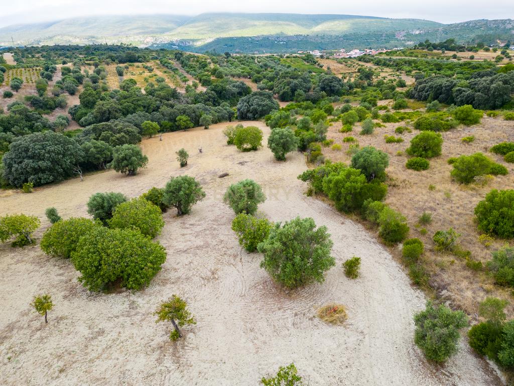 Terreno Chancelaria, Torres Novas - 12.680 m² - Image 20