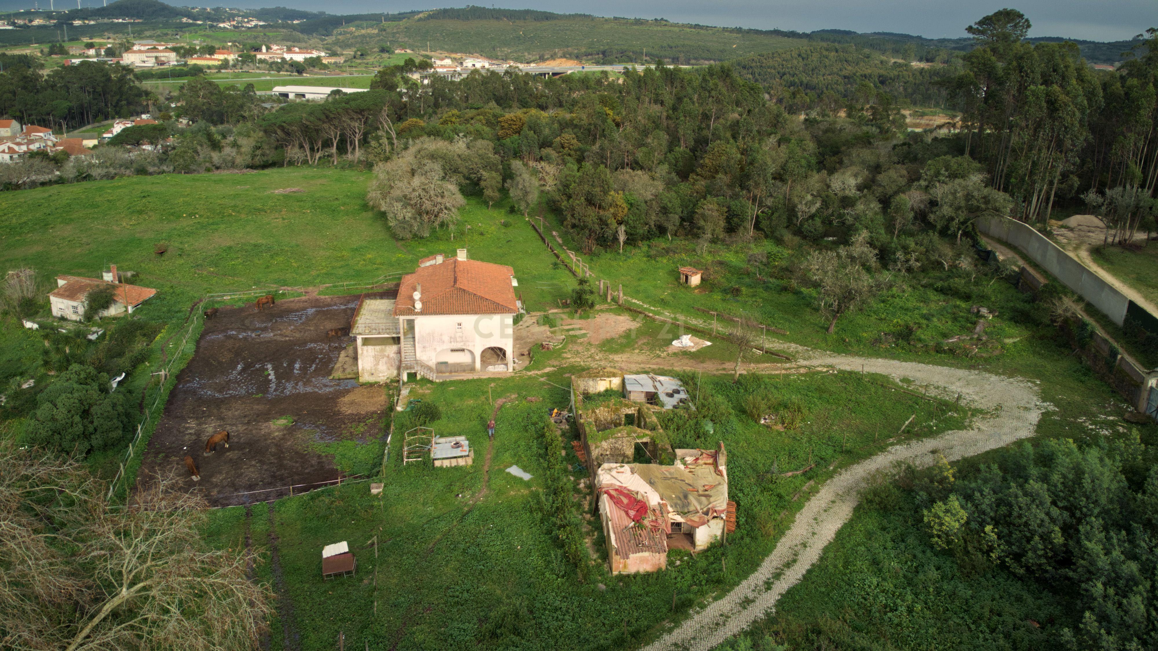 Quinta do Paraíso, Sintra. Aeroporto de Cascais a 25 minutos. - Image 1