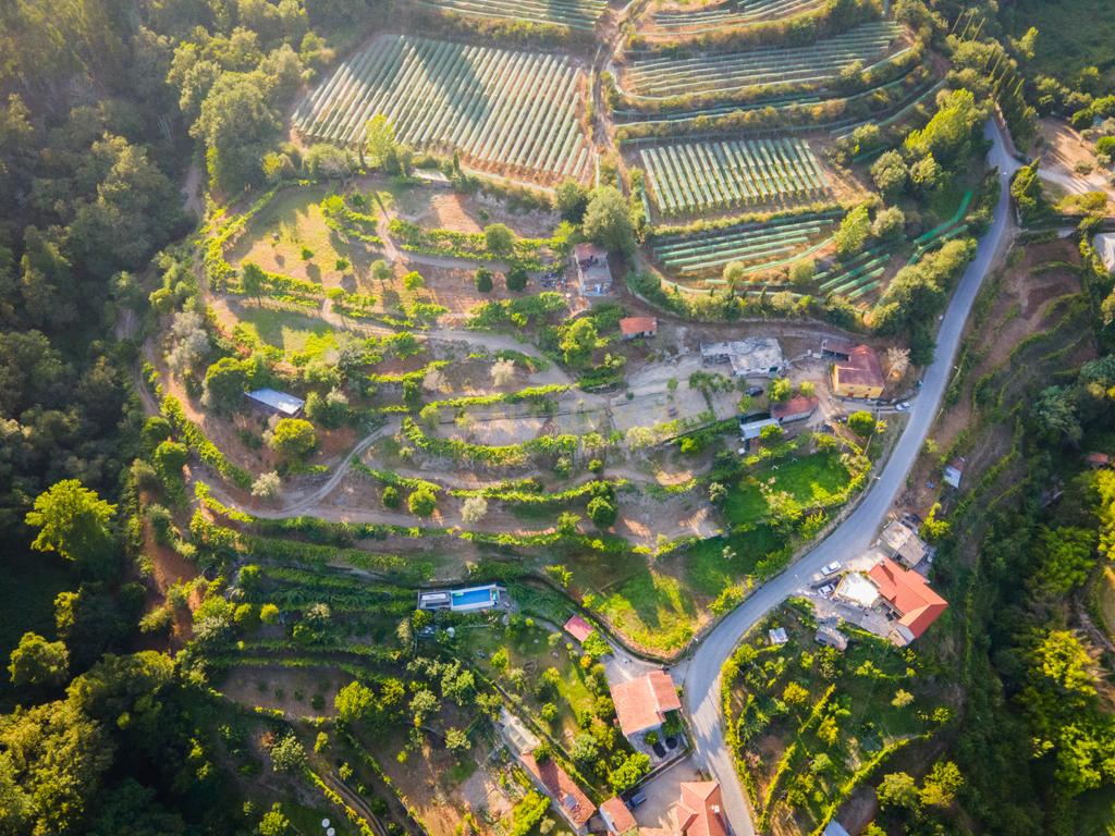 Quinta da Cepa - Image 14