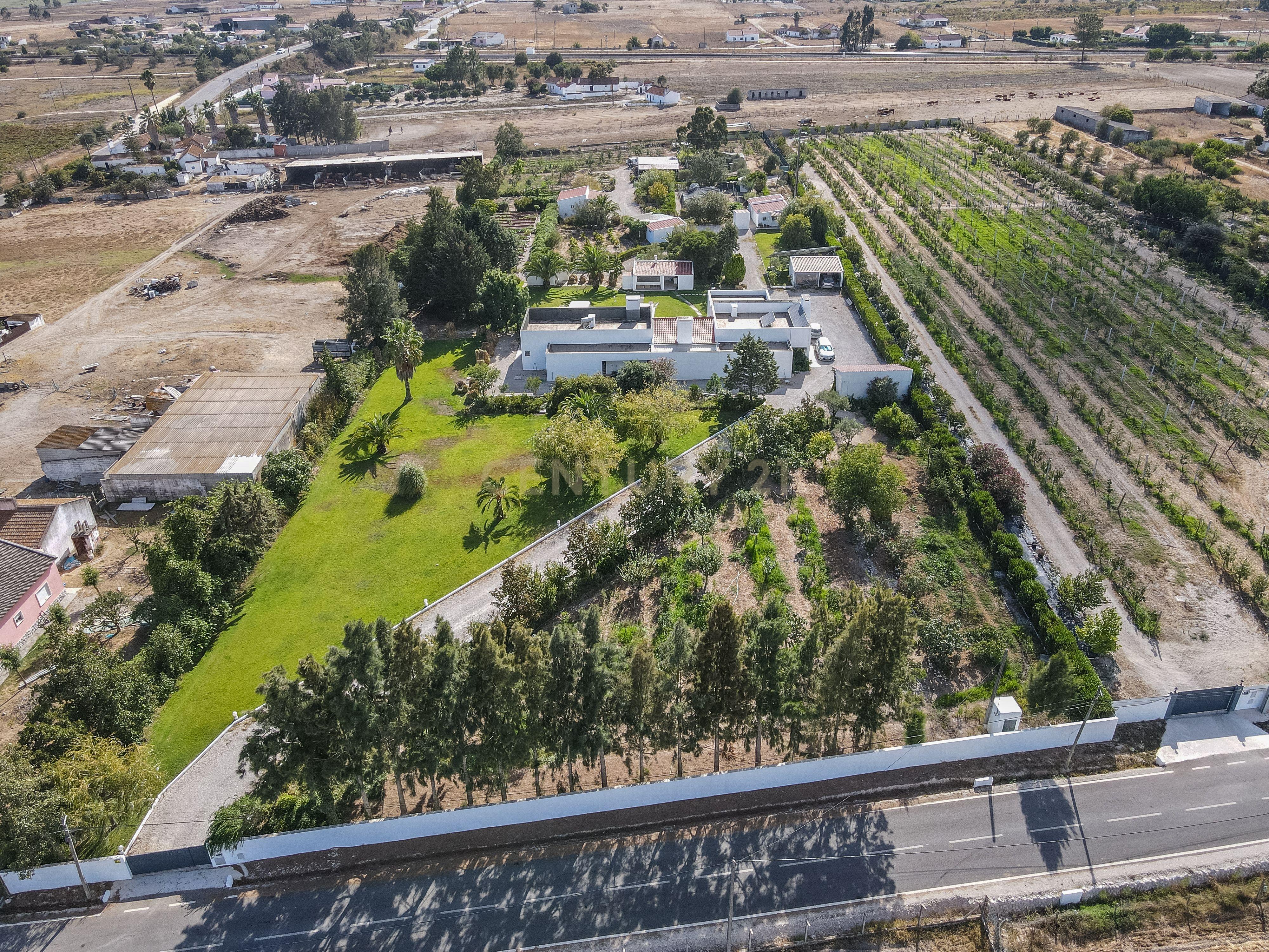 QUINTA DO POCEIRÃO - 2 MORADIAS - GARAGENS - PISCINA - ANEXOS - PALMELA - Image 63
