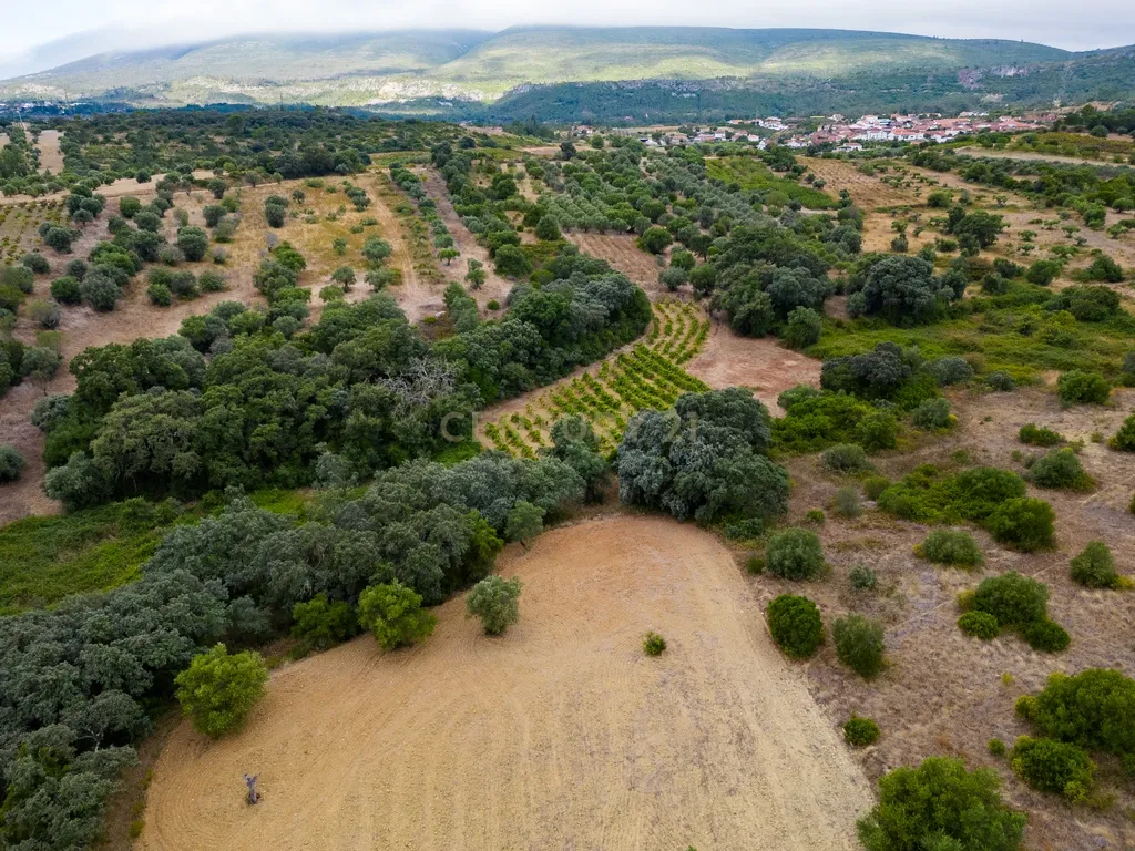Terreno Chancelaria, Torres Novas - 12.680 m² - Image 14
