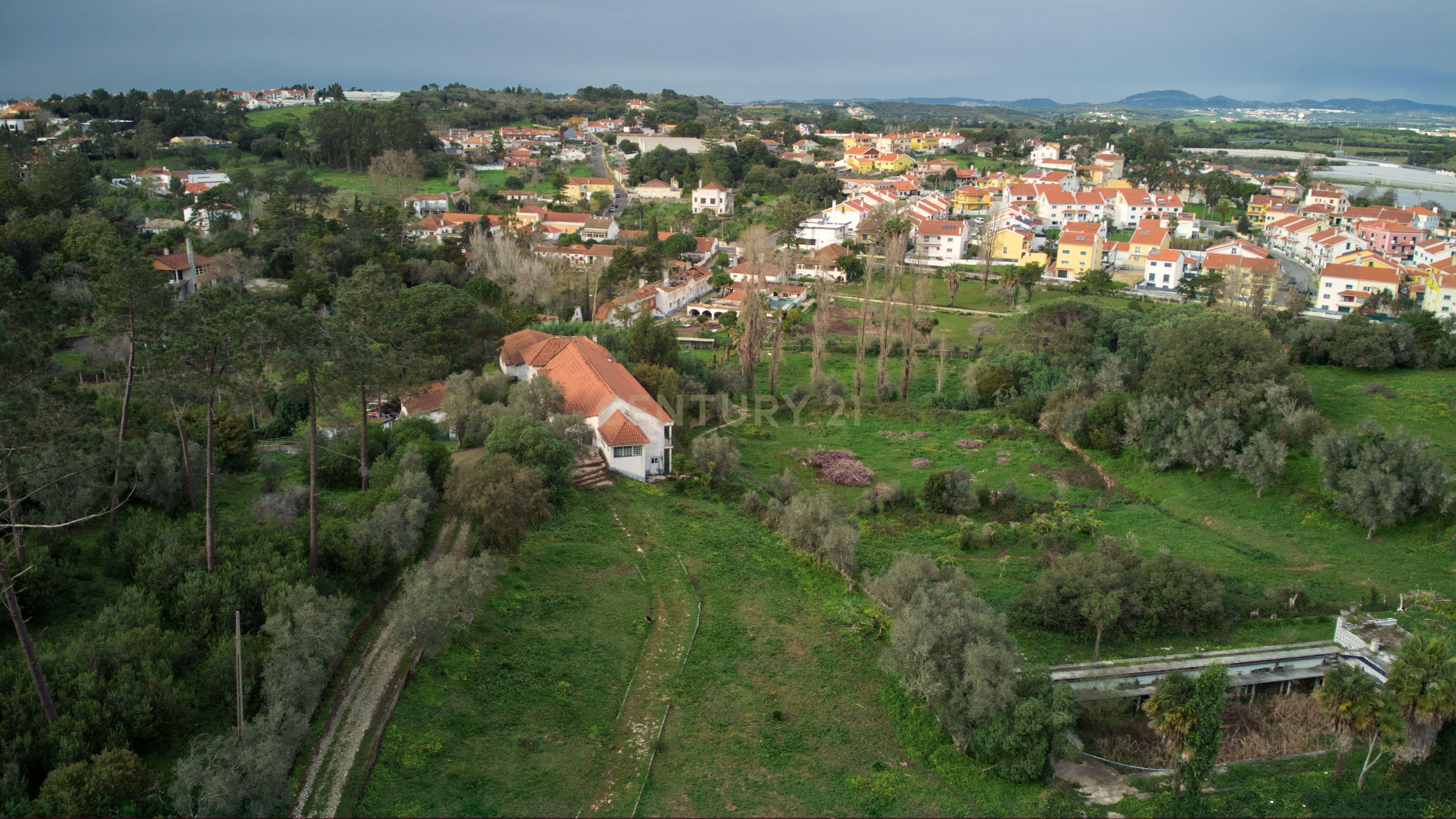 Quinta do Paraíso, Sintra. Aeroporto de Cascais a 25 minutos. - Image 5