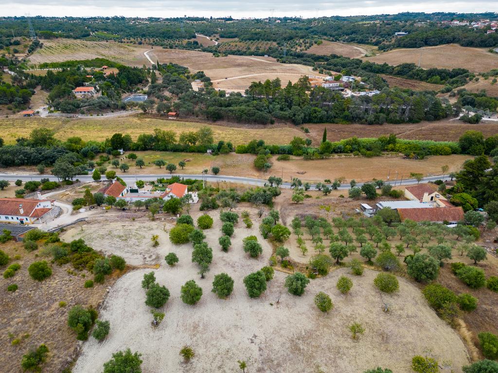 Terreno Chancelaria, Torres Novas - 12.680 m² - Image 2
