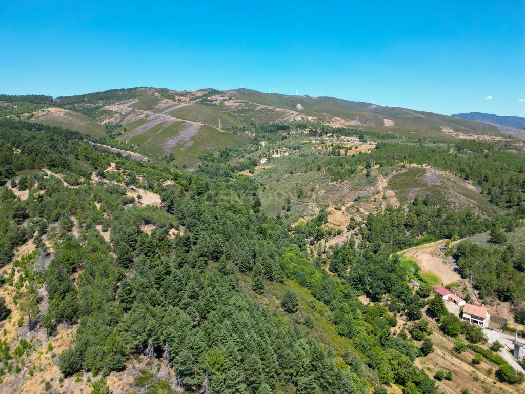 Moradia na aldeia do Portelo, Bragança - Image 6