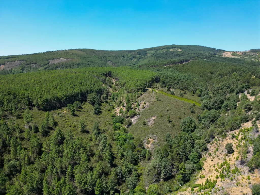 Moradia na aldeia do Portelo, Bragança - Image 7