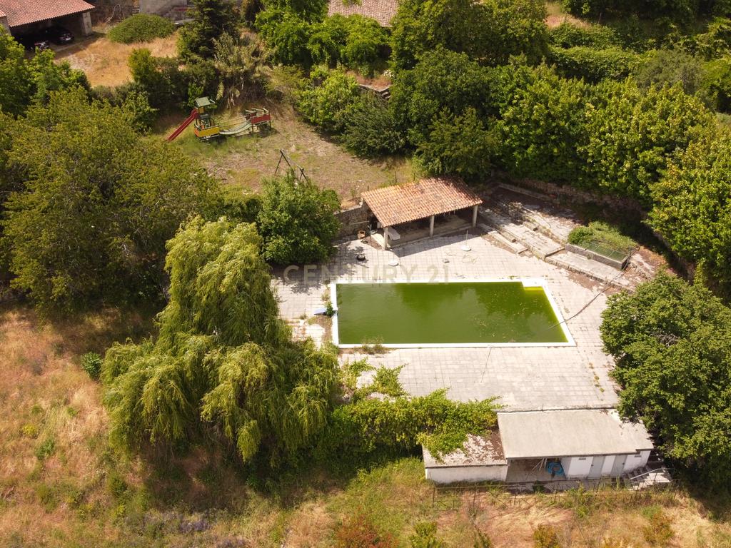 Quintinha com Solar em Aguiar da Beira - Image 8