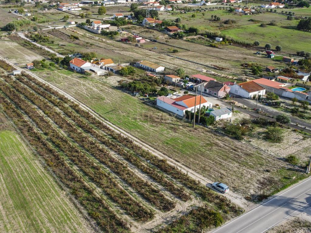 Terreno Misto de 7.500m² com Possibilidade de Construção de MORADIA, Cajados, Palmela - Image 9