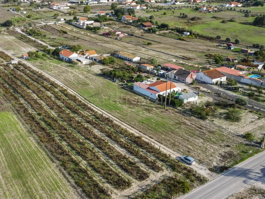 Terreno Misto de 7.500m² com Possibilidade de Construção de MORADIA, Cajados, Palmela - Image 9