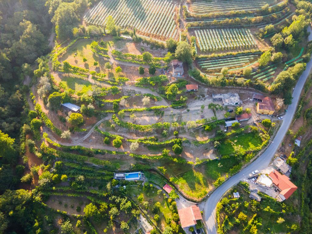 Quinta da Cepa - Image 9