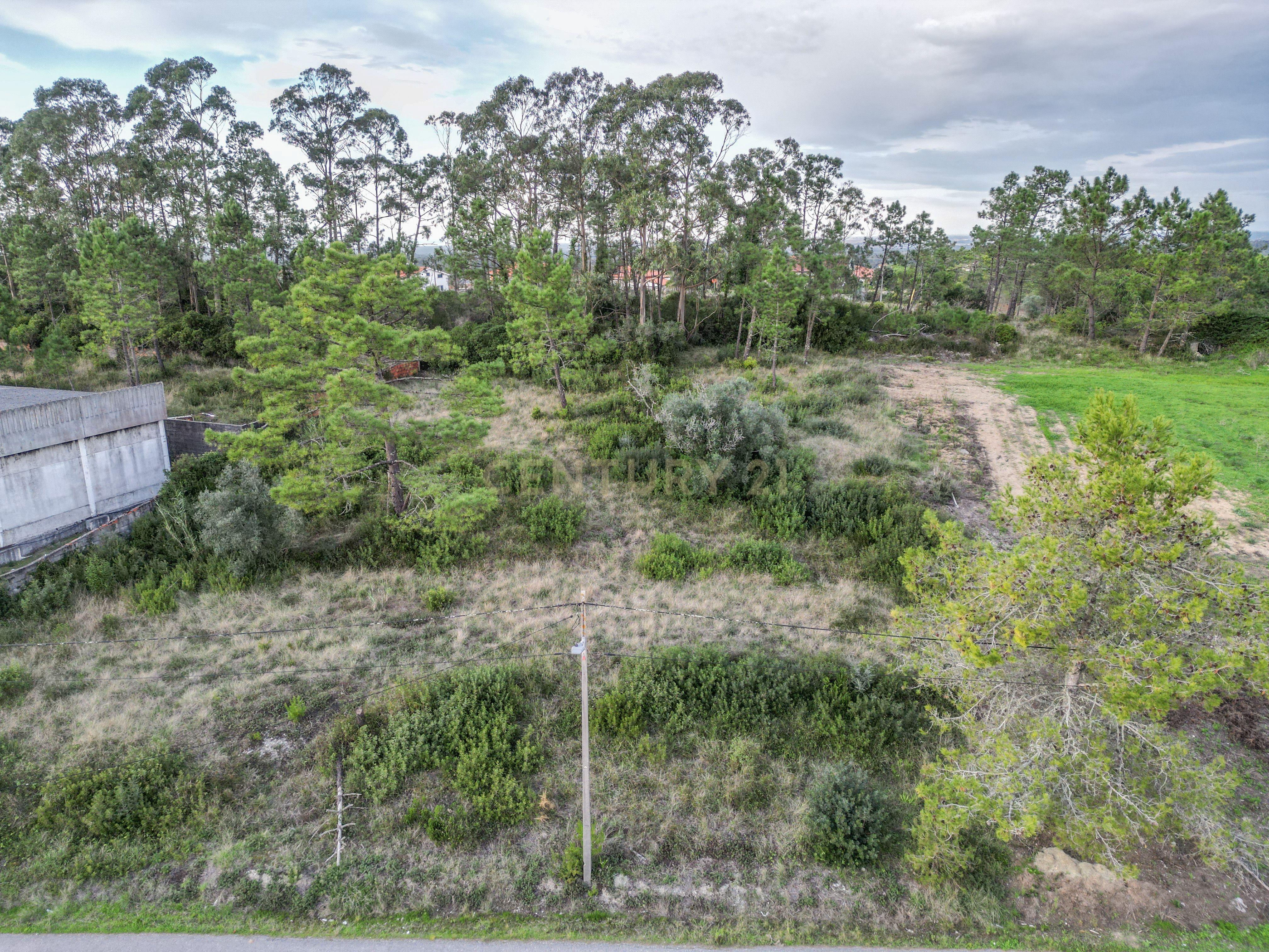 Terreno urbano a 6 Kms da Figueira da Foz - Image 41