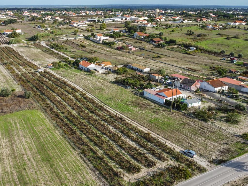 Terreno Misto de 7.500m² com Possibilidade de Construção de MORADIA, Cajados, Palmela - Image 5