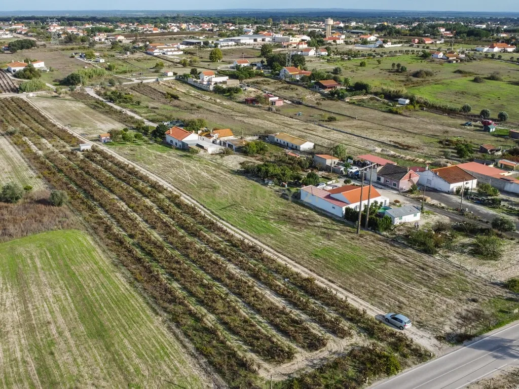Terreno Misto de 7.500m² com Possibilidade de Construção de MORADIA, Cajados, Palmela - Image 5