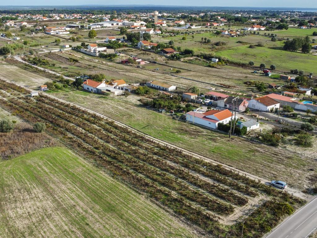 Terreno Misto de 7.500m² com Possibilidade de Construção de MORADIA, Cajados, Palmela - Image 7