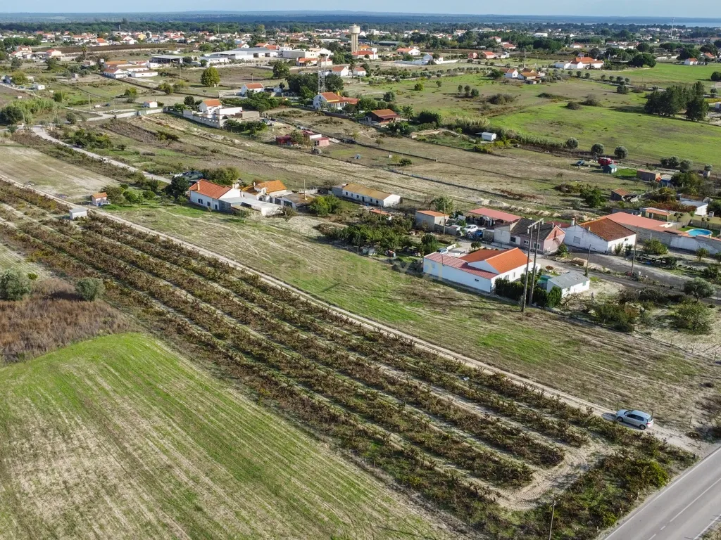 Terreno Misto de 7.500m² com Possibilidade de Construção de MORADIA, Cajados, Palmela - Image 7