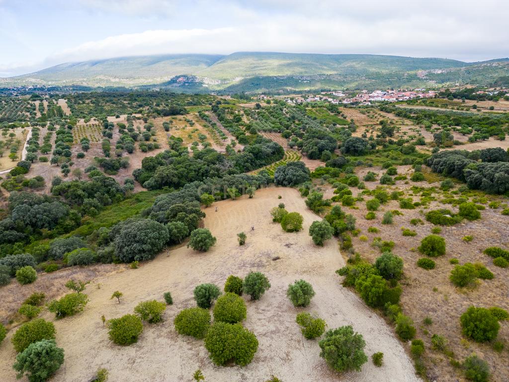 Terreno Chancelaria, Torres Novas - 12.680 m² - Image 22