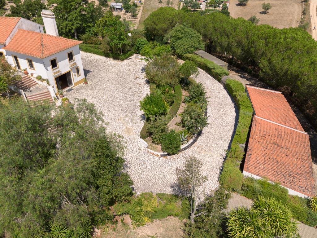 QUINTA EM MONTEMOR-O-NOVO - Image 4