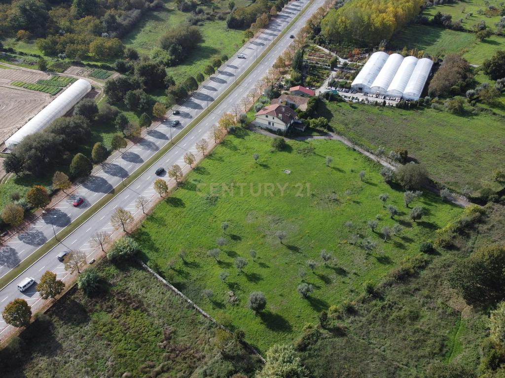 Terreno Urbanizável com moradia e anexos junto ao Hospital distrital de Viseu - Image 2