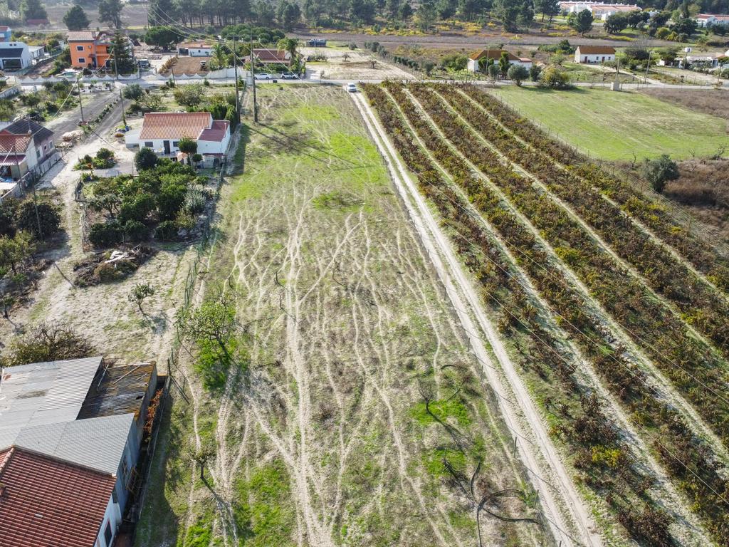 Terreno Misto de 7.500m² com Possibilidade de Construção de MORADIA, Cajados, Palmela - Image 15