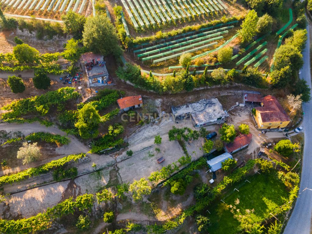 Quinta da Cepa - Image 15