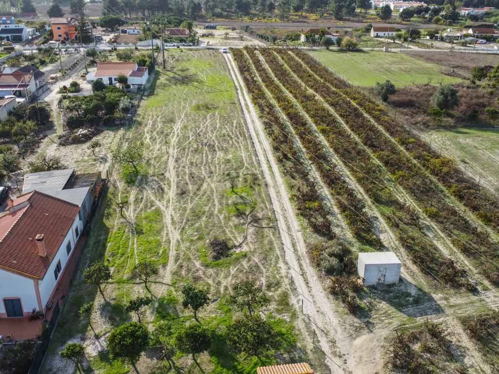 Terreno Misto de 7.500m² com Possibilidade de Construção de MORADIA, Cajados, Palmela - Image 13