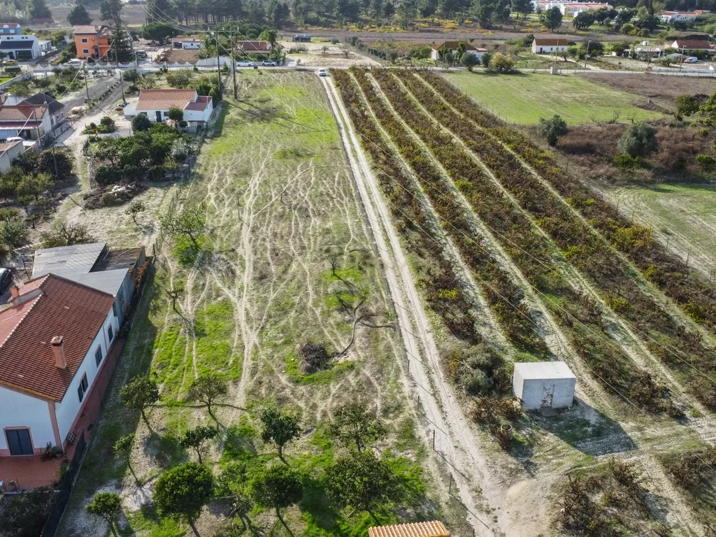 Terreno Misto de 7.500m² com Possibilidade de Construção de MORADIA, Cajados, Palmela - Image 13