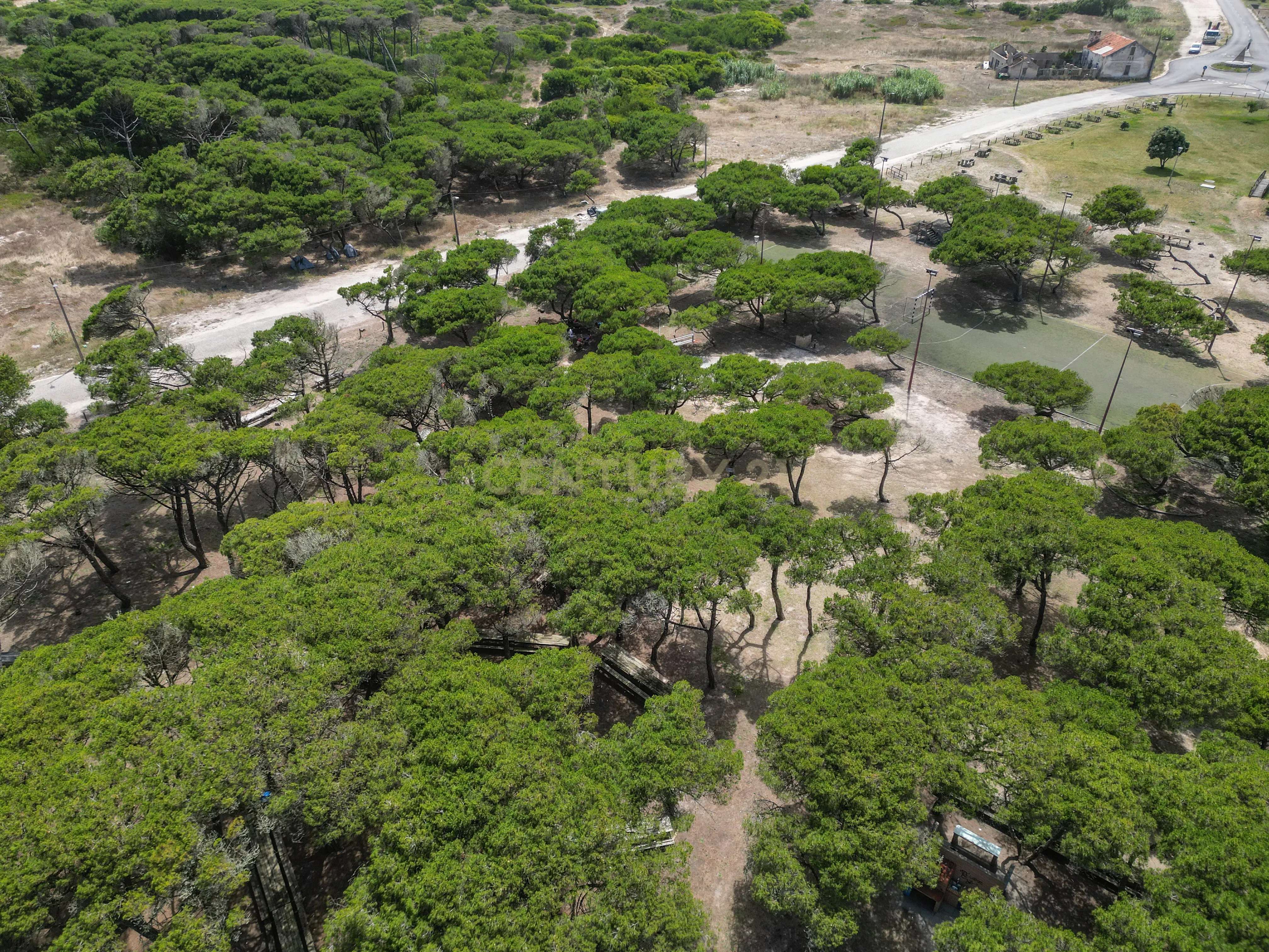 Moradia T8 Perto da Praia em São Pedro, Figueira da Foz - Image 17
