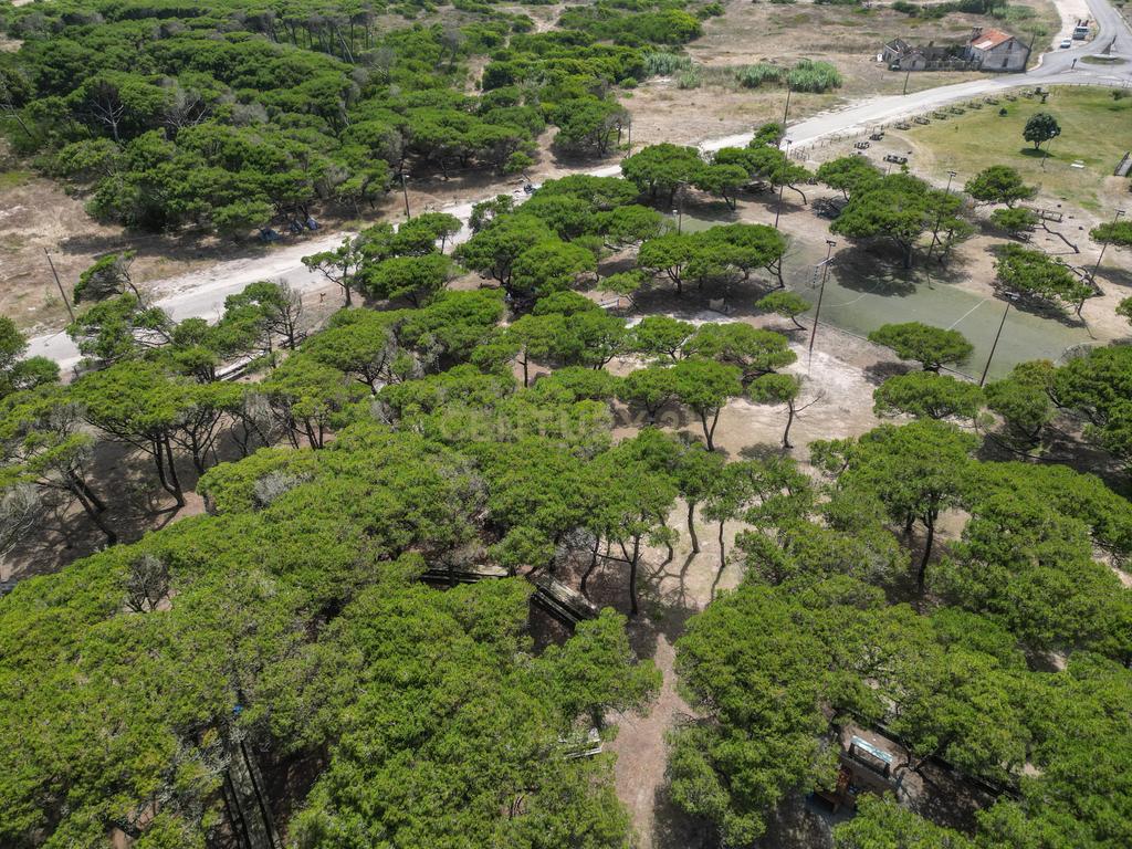 Moradia T8 Perto da Praia em São Pedro, Figueira da Foz - Image 17