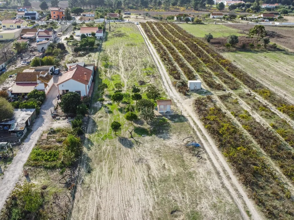 Terreno Misto de 7.500m² com Possibilidade de Construção de MORADIA, Cajados, Palmela - Image 16