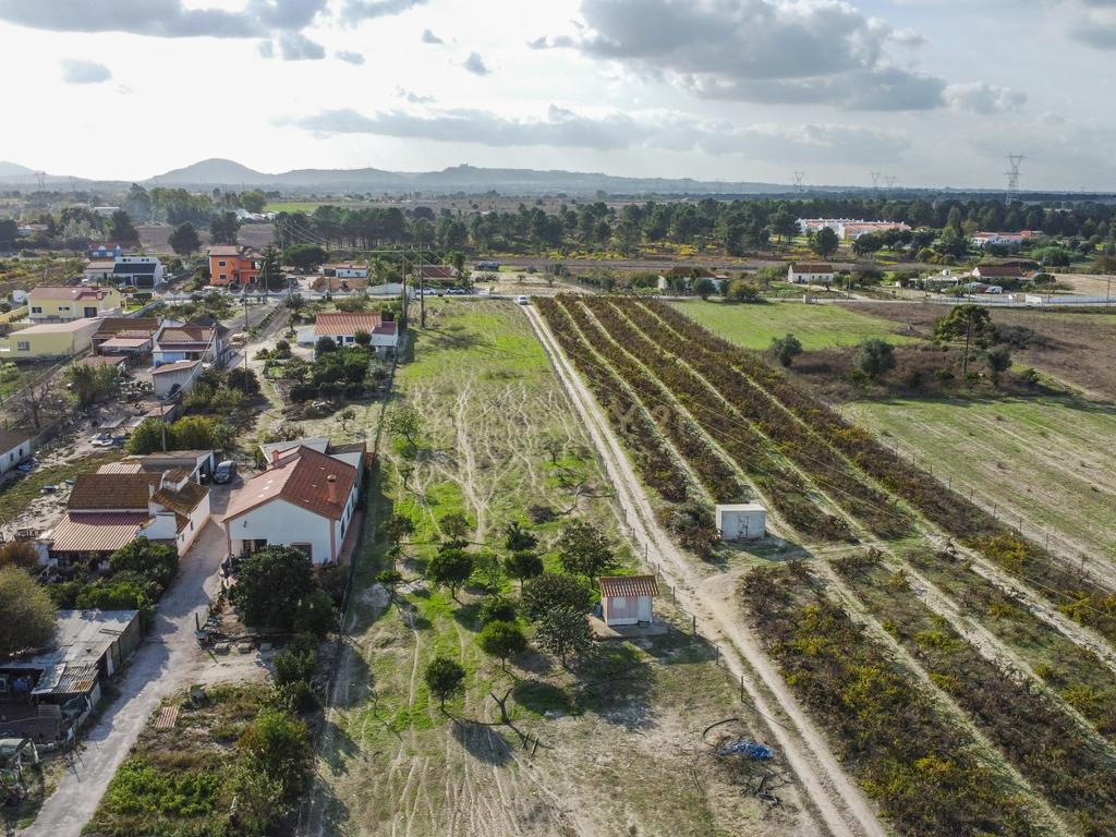 Terreno Misto de 7.500m² com Possibilidade de Construção de MORADIA, Cajados, Palmela - Image 14