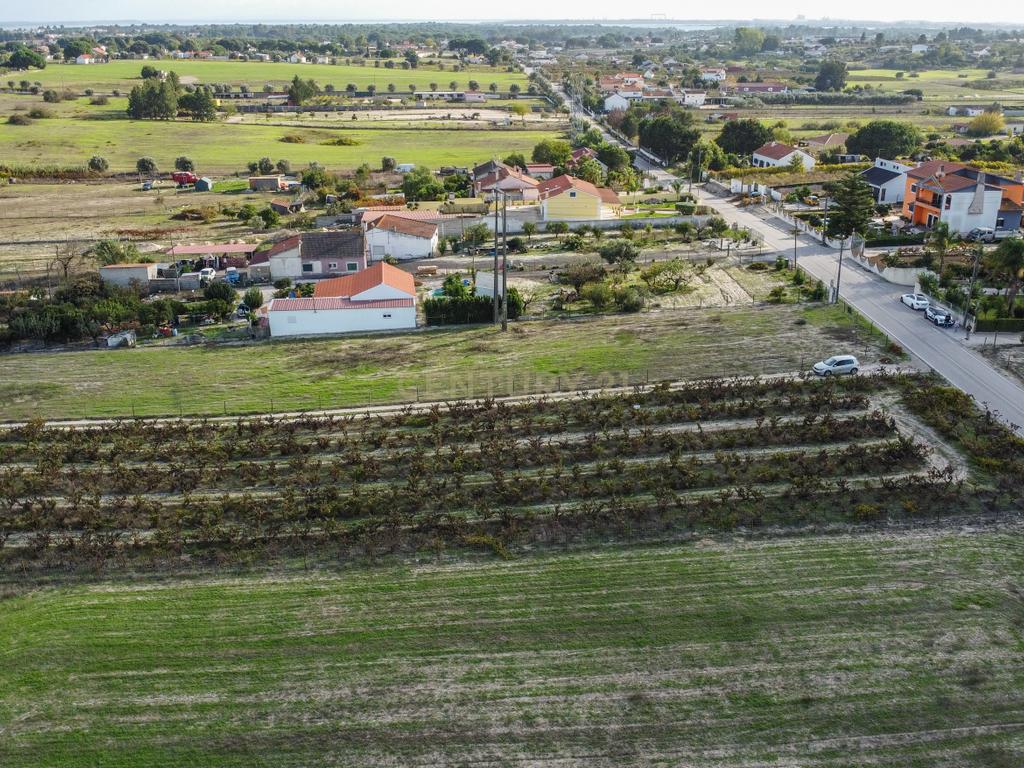 Terreno Misto de 7.500m² com Possibilidade de Construção de MORADIA, Cajados, Palmela - Image 17
