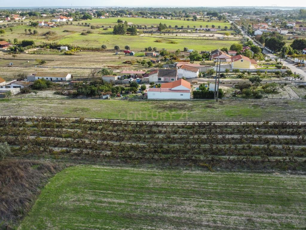Terreno Misto de 7.500m² com Possibilidade de Construção de MORADIA, Cajados, Palmela - Image 22